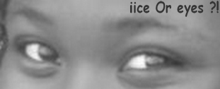 XD