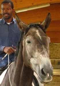 Aoual Yaya Alioum, cavalier camerounais