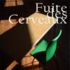 La fuite des cerveaux 