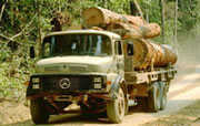 le secteur forestier dans la tourmente