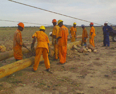 Des travaux d'AES  l'Extrme-Nord du Cameroun