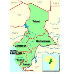 Le climat des affaires au Cameroun est point du doigt par les responsables de la zone cemac