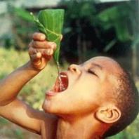 Plus de la moiti des camerounais ont accs  l'eau potable.