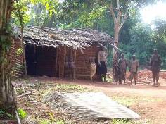 Des pygmes de la ville de Batouri