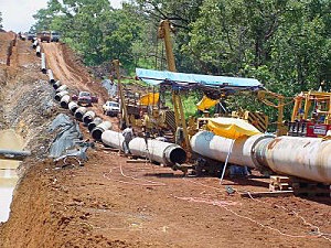 La dception du pipeline Tchad - Cameroun