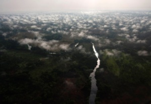 Vue arienne de la fort de Garamba,  Uele au Congo, en 2009