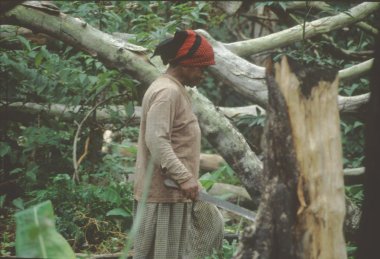 une femme aux travaux des champs