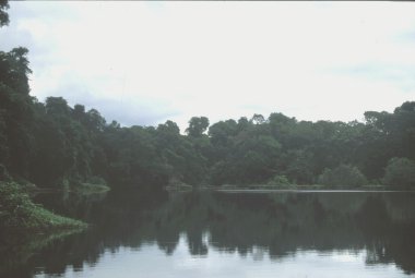 le lagon de kribi