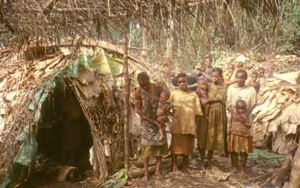 une habitation de pygme