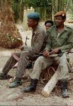 La guerre en Afrique...