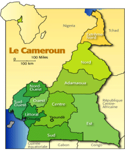 1845 milliards de CFA ont t dtourns au Cameroun entre 1998 et 2004