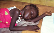 Le paludisme fait des ravages au Nord Cameroun