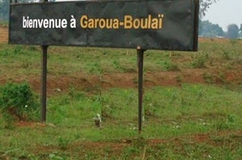 C journalducameroun.com